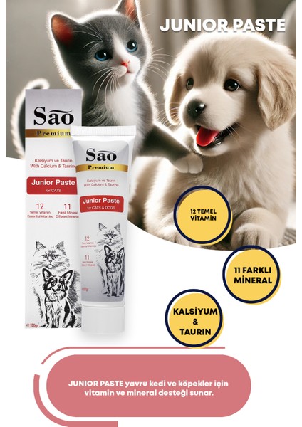 Junior Paste Yavru Kediler ve Köpekler Için Özel Pasta 100GR fiyatları
