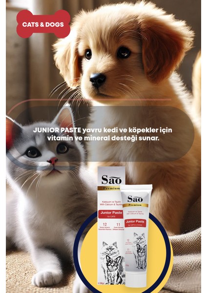 Junior Paste Yavru Kediler ve Köpekler Için Özel Pasta 100GR modelleri