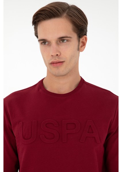 Erkek Bordo Sweatshirt 50289058-VR014 fiyatları