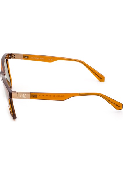 CKJ24601S 261 Unisex Güneş Gözlüğü modelleri