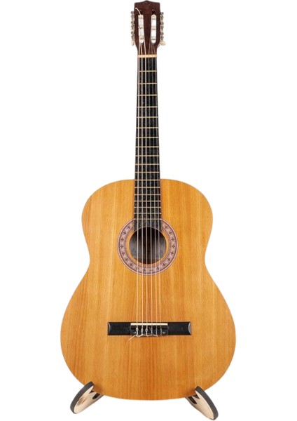 Klasik Gitar DNZ375 Gitar Softcase Sert +Kılıf indirimleri