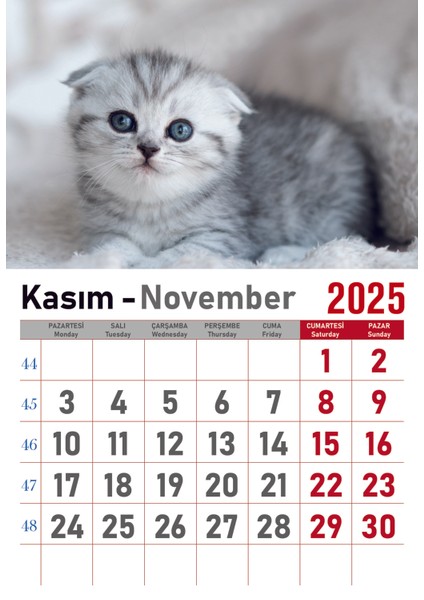 Takvim - Spiralli 12 Yaprak 32X47 cm - Kuşe Kağıt Duvar Takvimi Kedi RESIMLI-2025