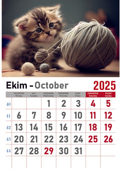 Takvim - Spiralli 12 Yaprak 32X47 cm - Kuşe Kağıt Duvar Takvimi Kedi RESIMLI-2025