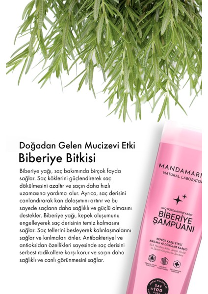 Biberiye Şampuanı Dökülme Karşıtı Ve Hızlı Uzamaya Yardımcı Büyük Boy 400 Ml
