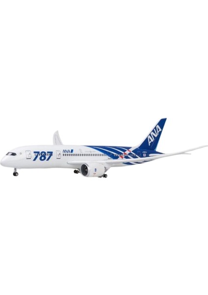 1/130 Ölçekli Ana Boeing 787 Model Uçak