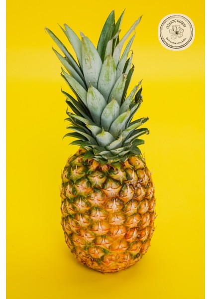 Ananas Kurusu Doğal ve Katkısız- 1 kg