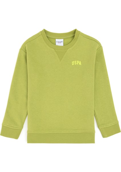 Erkek Çocuk Fıstık Sweatshirt 50295151-VR087