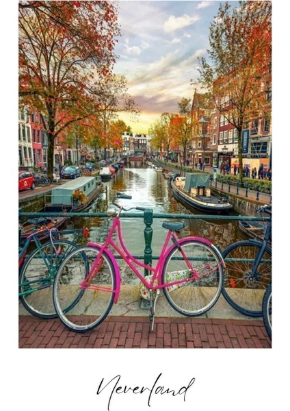 4 Adet 1000 Parça Puzzle - Colmar / Amsterdam / Dünya Haritası Iı / Atlar