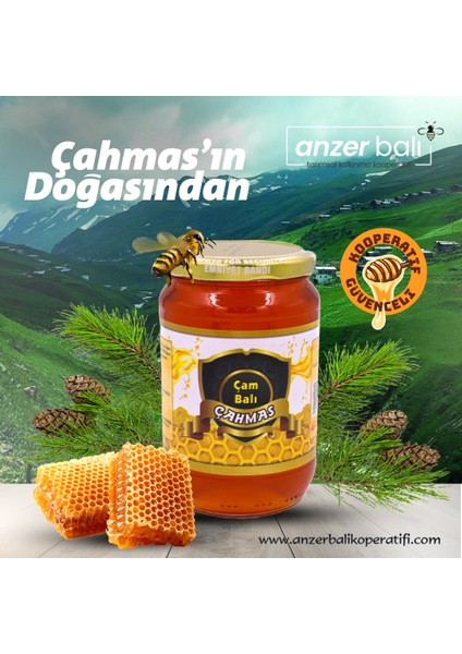 Çam Balı