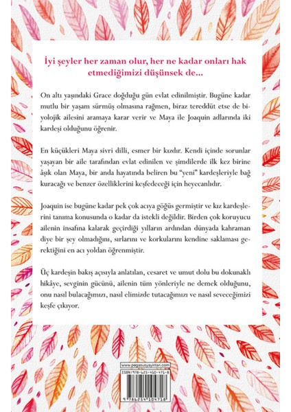 Ağaçtan Çok Uzakta - Robin Benway fiyatları