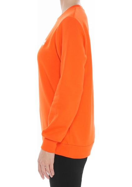 Yonca Sweatshirt fiyatları