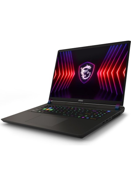 Msı Vector 17 Hx Intel Core I9 14900HX 24GB 4tb SSD RTX4090/16GB Freedos 17" Qhd+ 240Hz Taşınabilir Bilgisayar A14VIG-879XTR-A12 & Anzar Mouse