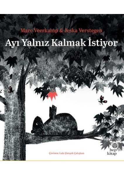 Ayı Yalnız Kalmak İstiyor - Marc Veerkamp