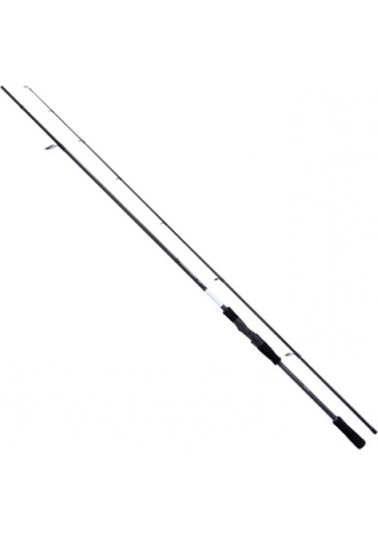 Rod Bassterra Xt+ Spin Sea Bass 2,44M 8'0" 4-21G 2pc