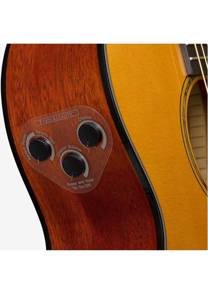 Csf-Ta Transacoustic Parlor Elektro Akustik Gitar