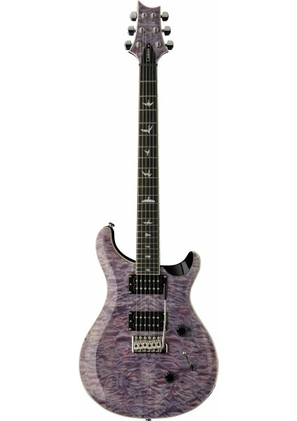 Prs Se Custom 24 Elektro Gitar