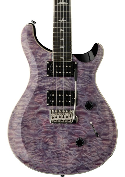 Prs Se Custom 24 Elektro Gitar