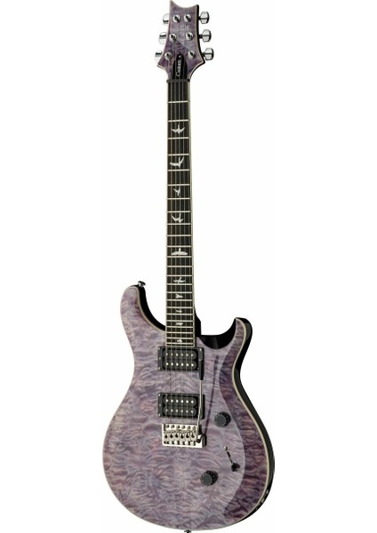 Prs Se Custom 24 Elektro Gitar