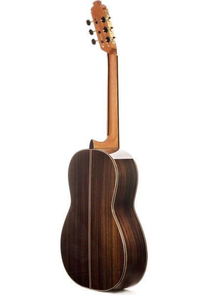 5-PS 138 Klasik Gitar fiyatları