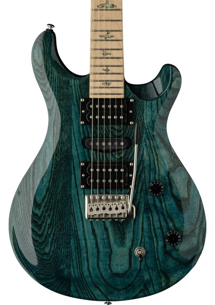 Swamp Ash Special Elektro Gitar fiyatları