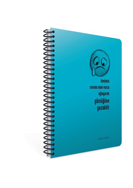 7231 Real A4 100 Yp Kareli Spr Pp Kapak Defter fiyatları