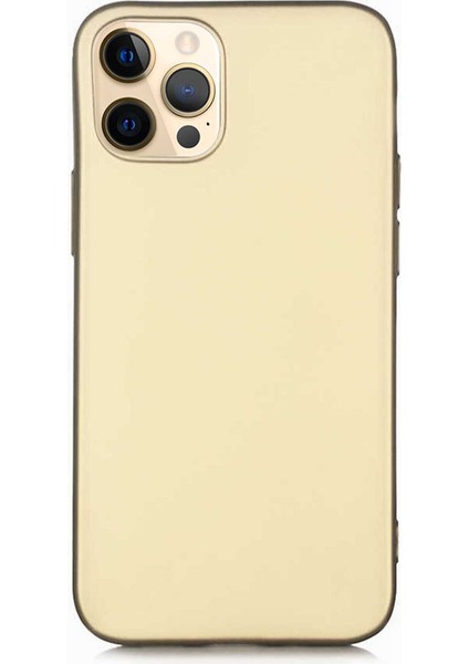 Apple iPhone 12 Pro Uyumlu Suide Arka Koruma Kılıf