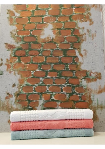 Winter Havlu Paspas 3'lü - K.su Yeşili K.pembe Beyaz