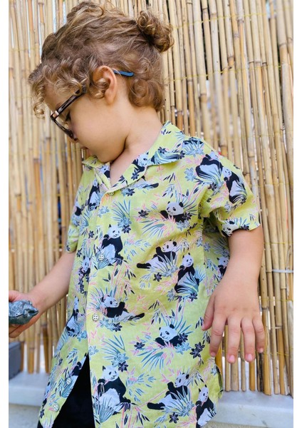 Jack Lions Erkek Çocuk Gömlek Eğlenceli Pandacık Desenli 1.5-5 Yaş, Fıstık Yeşili fiyatları