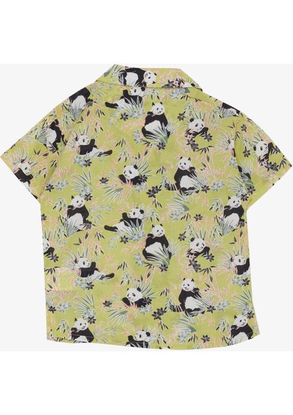 Jack Lions Erkek Çocuk Gömlek Eğlenceli Pandacık Desenli 1.5-5 Yaş, Fıstık Yeşili indirimleri