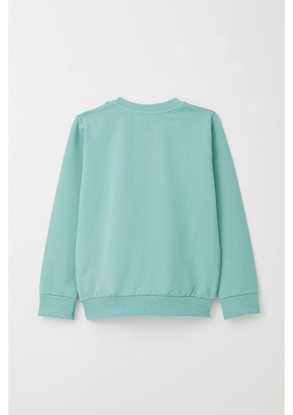 Erkek Çocuk Eşofman Takım Kaykaycı Ayıcık Baskılı 1-4 Yaş, Su Yeşili