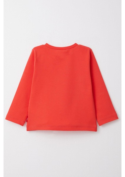 Erkek Çocuk Uzun Kollu Tişört Basic 1-4 Yaş, Narçiçeği fiyatları