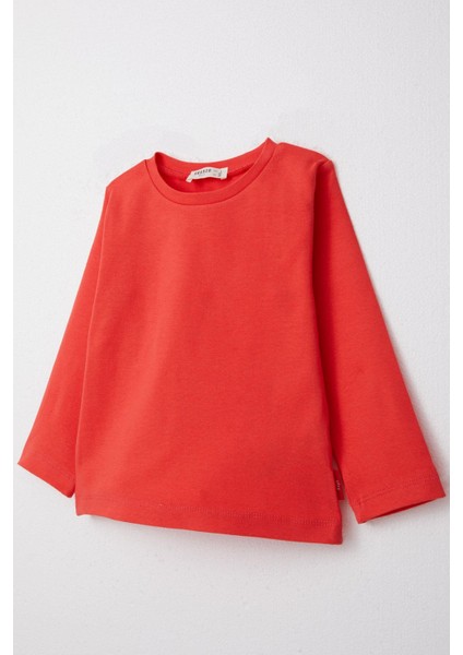 Erkek Çocuk Uzun Kollu Tişört Basic 1-4 Yaş, Narçiçeği modelleri