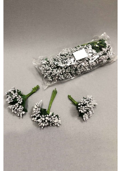 Gümüş Tohum Pıtırcık 1 paket 144 lü