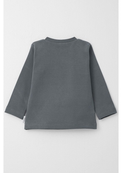 Erkek Çocuk Uzun Kollu Tişört Basic 1-4 Yaş, Gri fiyatları