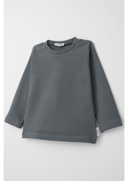 Erkek Çocuk Uzun Kollu Tişört Basic 1-4 Yaş, Gri modelleri