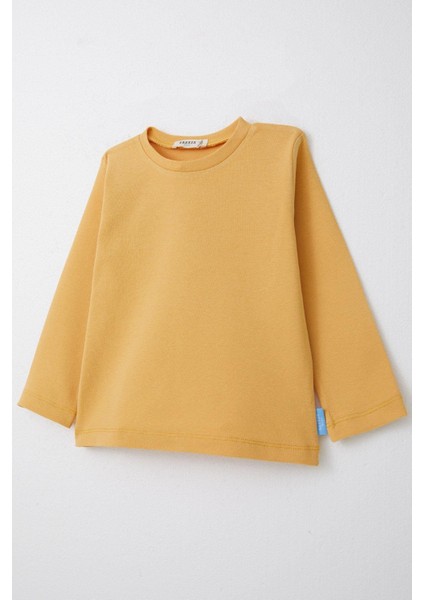Erkek Çocuk Uzun Kollu Tişört Basic 1-4 Yaş, Hardal Sarı modelleri