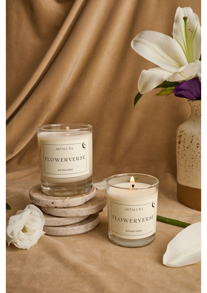 Flowerverse Soya Mum fiyatları