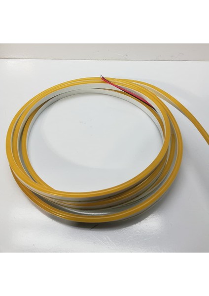 En Parlak Neon LED 12 Volt Amber Işık Dış Mekan 5 Metre