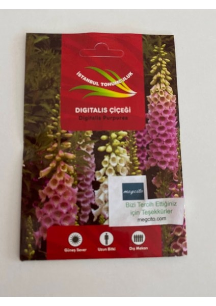 Digitalis ( Çoklu Tohum ) - 550 Tohum - Karışık Renk