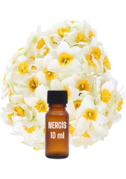 NERGİS BUHUR SETİ fiyatları