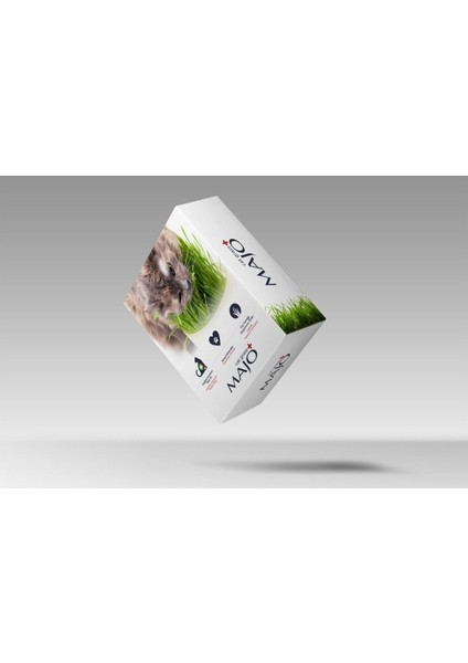 Majo Cat Grass Kedi Çimi