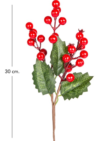 Yılbaşı Çiçeği Pike Berry Kırmızı-Yeşil 30 Cm. modelleri