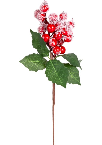 Yılbaşı Çiçeği Pike Karlı Berry Kırmızı-Yeşil 30 Cm.