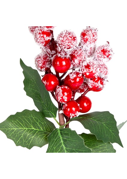Yılbaşı Çiçeği Pike Karlı Berry Kırmızı-Yeşil 30 Cm.