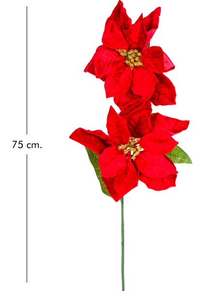 Yılbaşı Çiçeği Puansetya 2 Çiçekli Kırmızı 75 Cm. modelleri