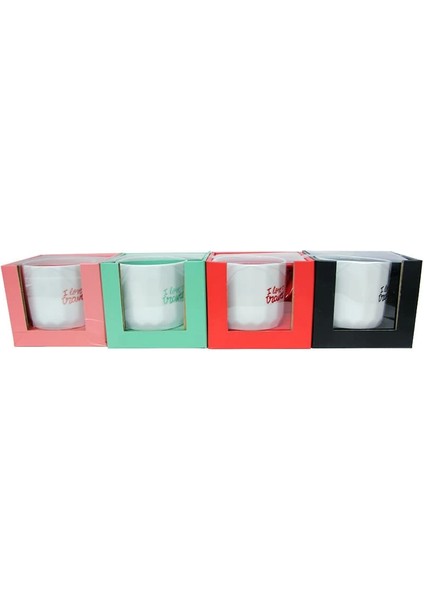 Kupa L Love Travel fiyatları