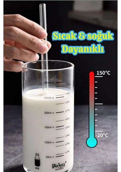 12'li Eğimli Cam Pipet Seti - Çevre Dostu ve Şık Tasarım
