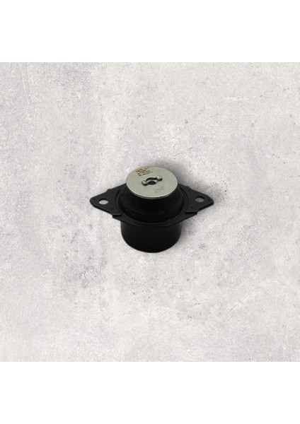 Şanzıman Kulağı-Caddy -Inca-Polo Classıc-Cordoba