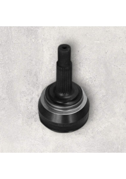 Aks Lalesi Dış Kit-Favorıt-Falıcıa