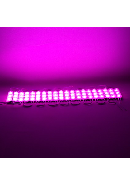 Modül LED 12V 1.5W Pembe Yanıp Sönen Parlak Tek Renk 2835 69 x 16 mm IP65 160-180LM 160 Derece (K246)